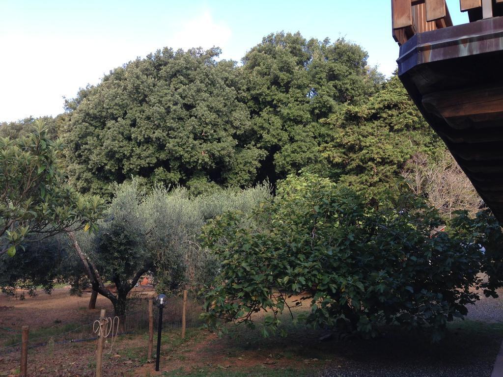 Agriturismo "La Rosa Canina" Bed & Breakfast Lerici Exterior foto